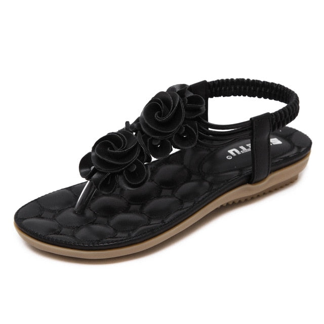 cid:39842523873503